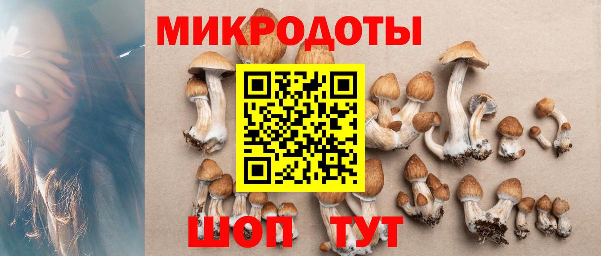 Галлюциногенные грибы Cubensis Костомукша