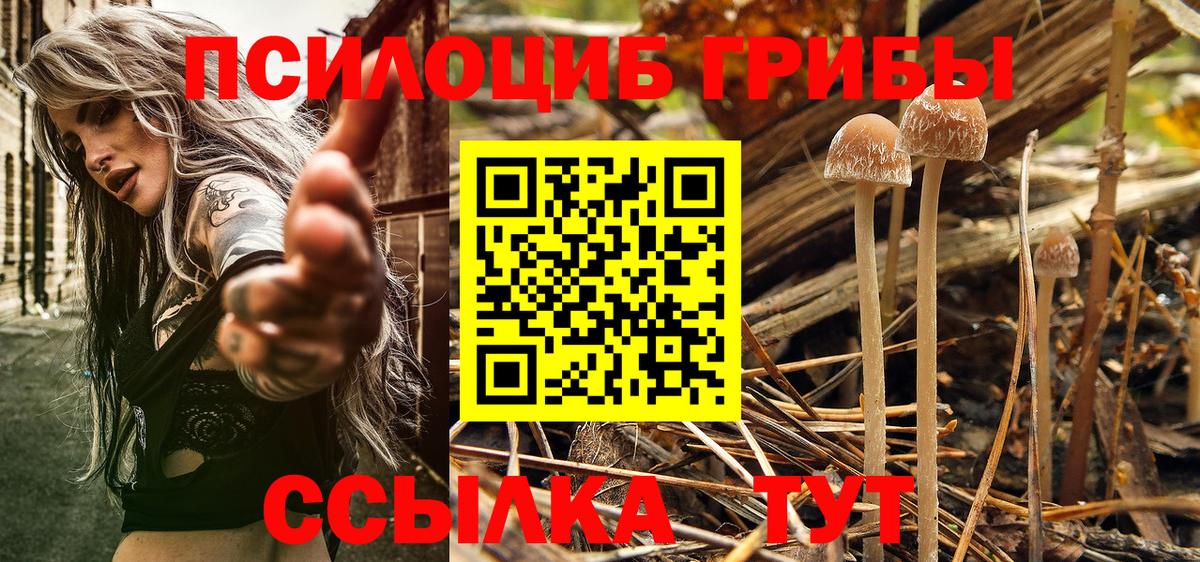 Галлюциногенные грибы GOLDEN TEACHER  Вход с VPN  Галлюциногенные грибы мицелий  Костомукша 