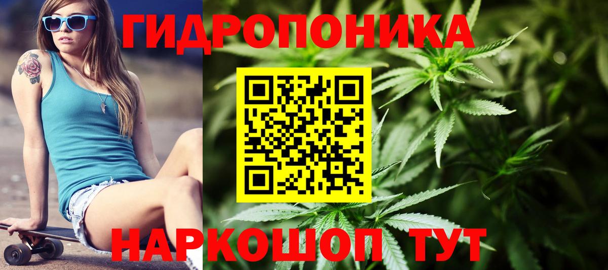 Бошки Шишки White Widow  Шишки марихуана Ganja  Костомукша  Вход с VPN 